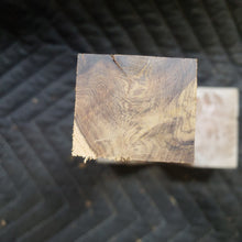Desert ironwood