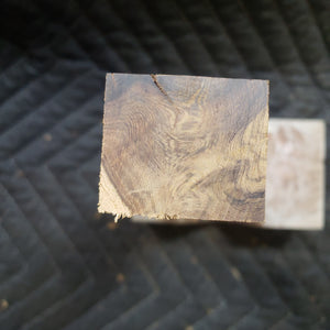 Desert ironwood