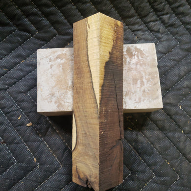 Desert ironwood