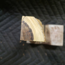 Desert ironwood