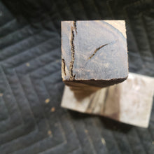 Desert ironwood