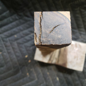 Desert ironwood