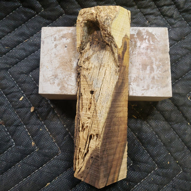 Desert ironwood