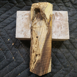 Desert ironwood