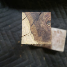 Desert ironwood