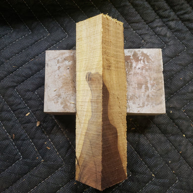 Desert ironwood