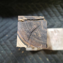 Desert ironwood