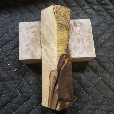 Desert ironwood
