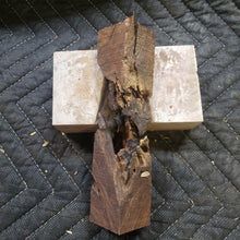 Desert ironwood