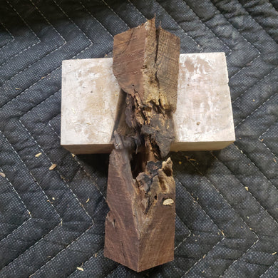 Desert ironwood