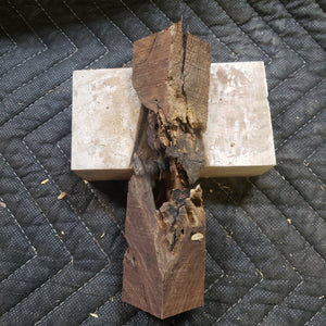 Desert ironwood