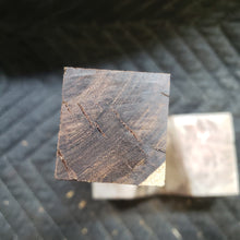 Desert ironwood