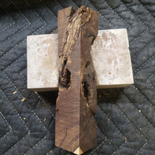 Desert ironwood