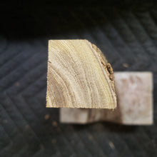 Desert ironwood