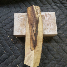 Desert ironwood