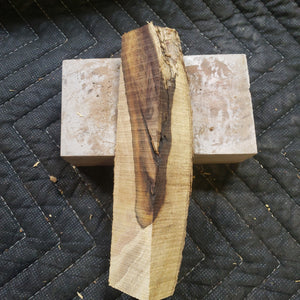 Desert ironwood