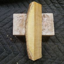 Desert ironwood