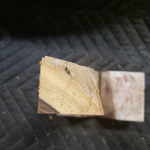Desert ironwood