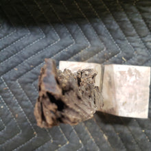 Desert ironwood