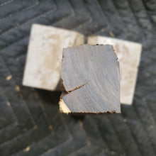 Desert ironwood