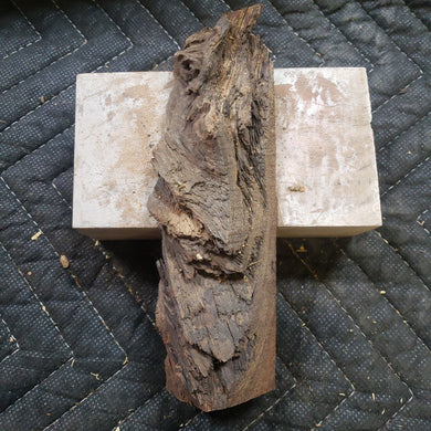 Desert ironwood