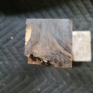 Desert ironwood