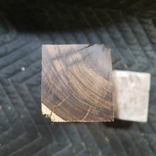 Desert ironwood
