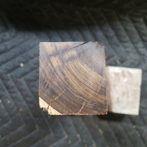 Desert ironwood