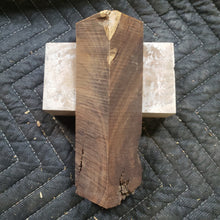 Desert ironwood
