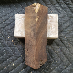 Desert ironwood