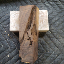 Desert ironwood