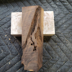 Desert ironwood