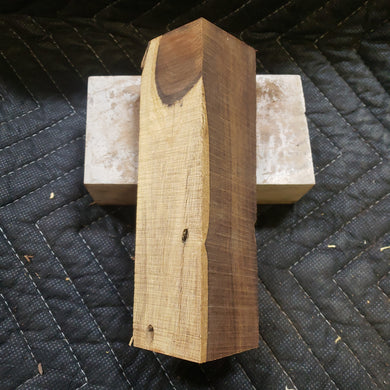 Desert ironwood