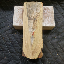 Desert ironwood
