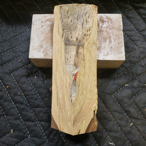 Desert ironwood