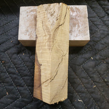 Desert ironwood
