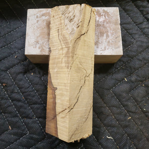 Desert ironwood