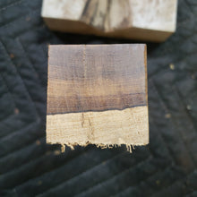 Desert ironwood