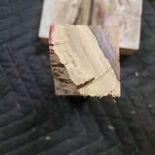 Desert ironwood