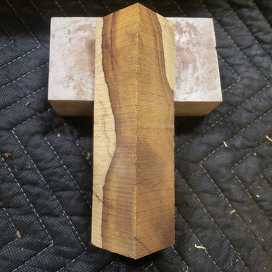 Desert ironwood