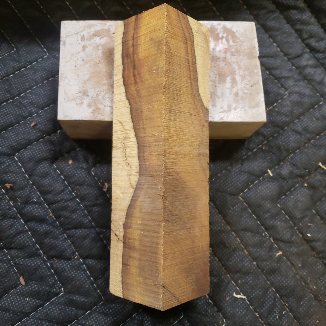 Desert ironwood