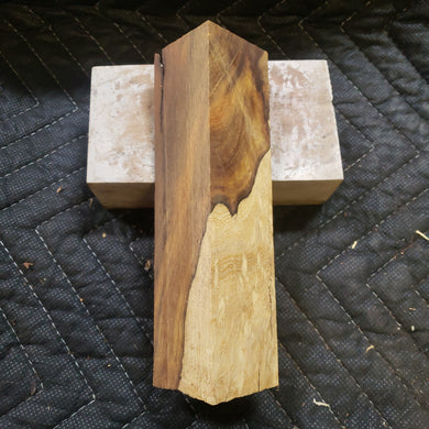 Desert ironwood