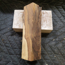 Desert ironwood