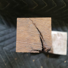 Desert ironwood