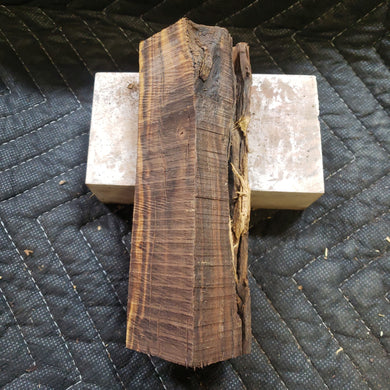 Desert ironwood casting