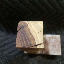 Desert ironwood