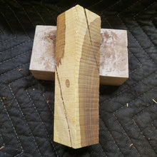 Desert ironwood