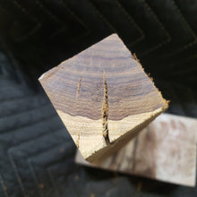 Desert ironwood