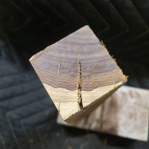 Desert ironwood