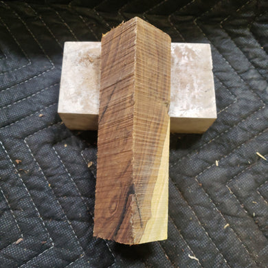 Desert ironwood